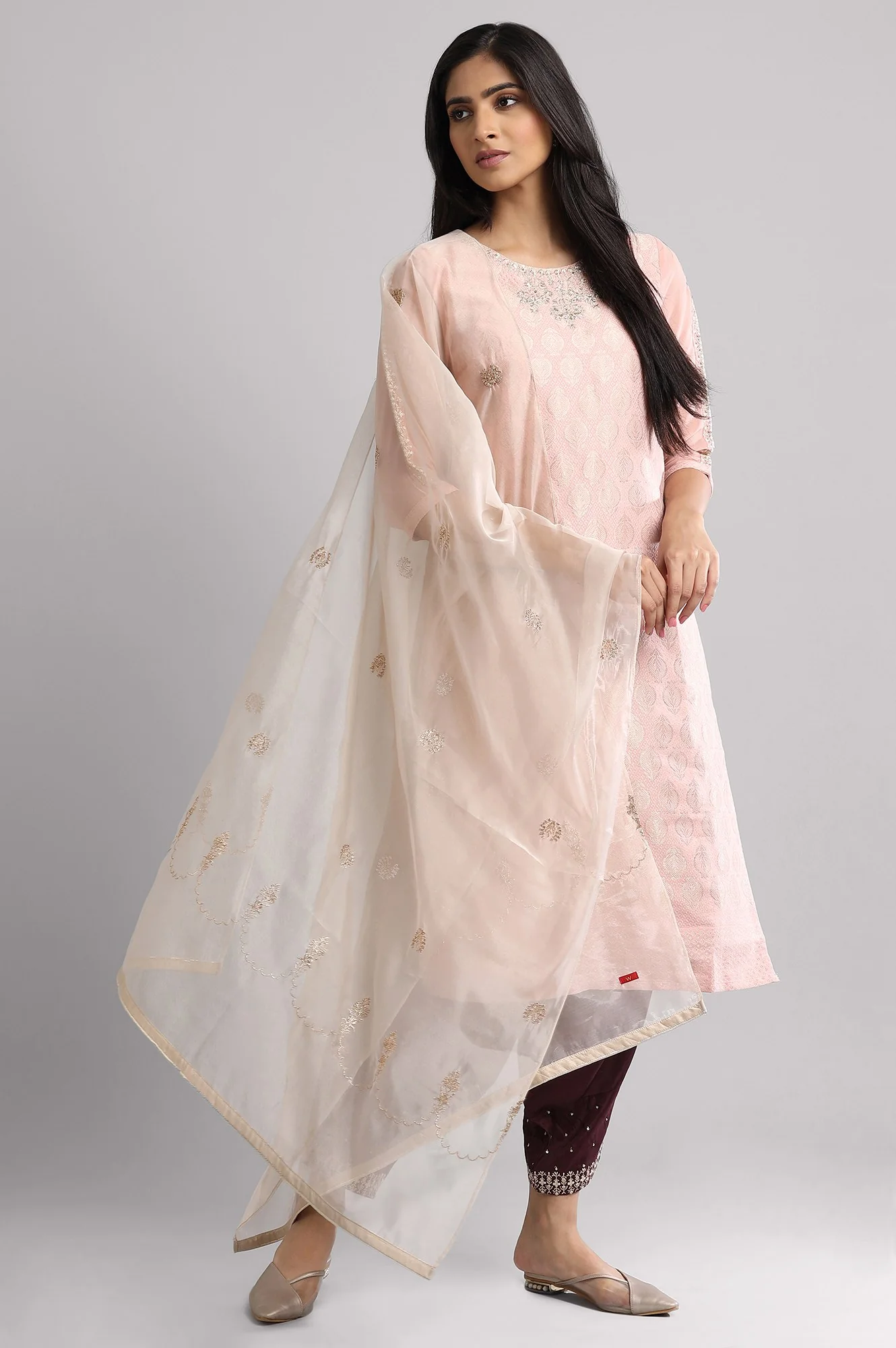 Beige Embroidered Organza Dupatta - Image 2