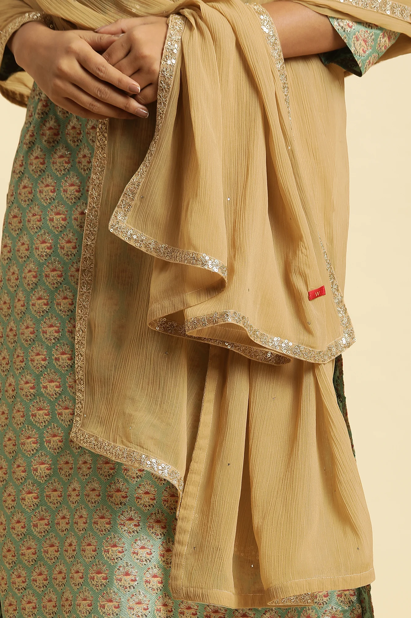 Golden Chiffon Dupatta With Sequin Border - Image 5