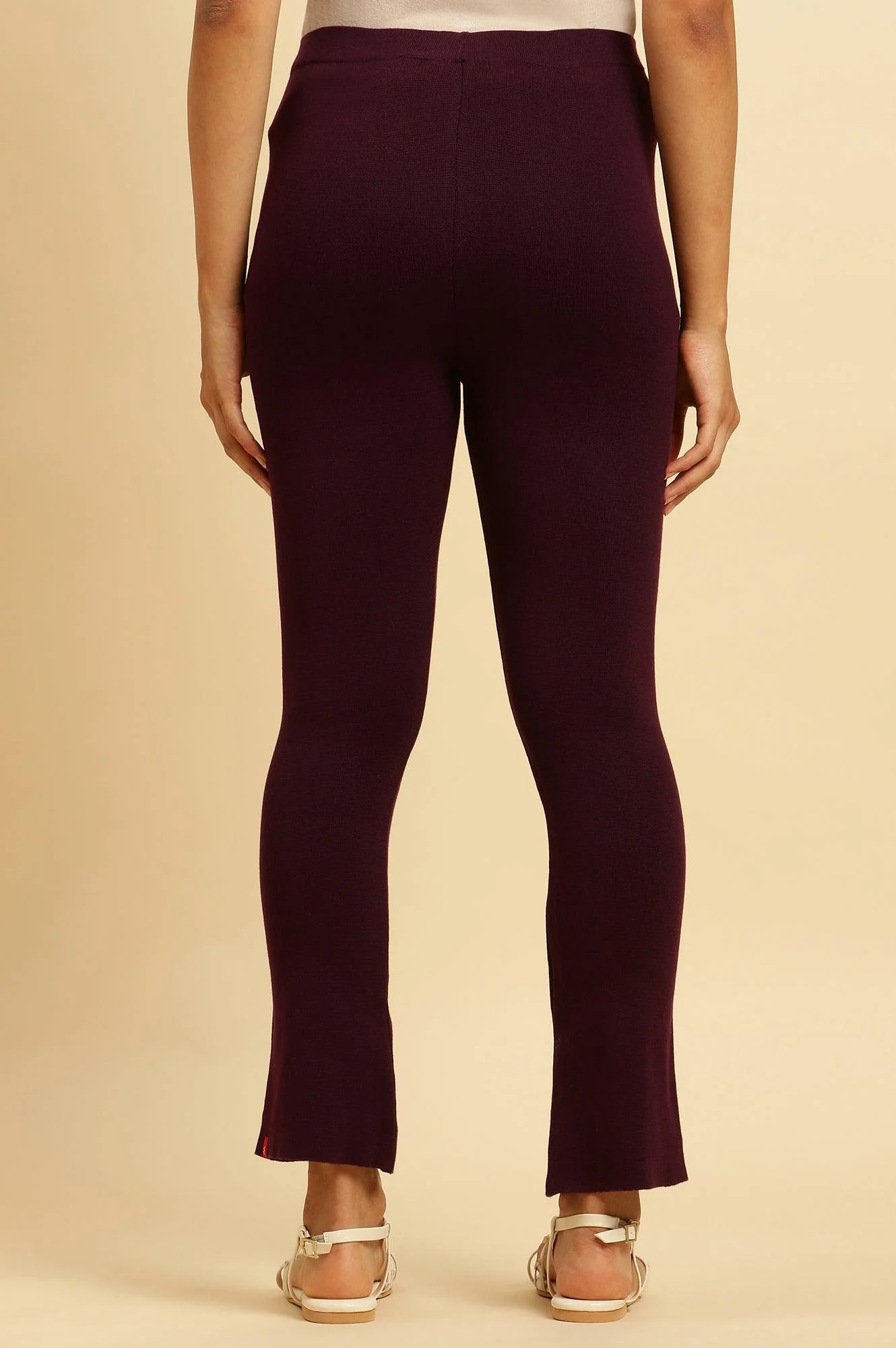 Purple Solid Fit And Flare Pants - Image 3
