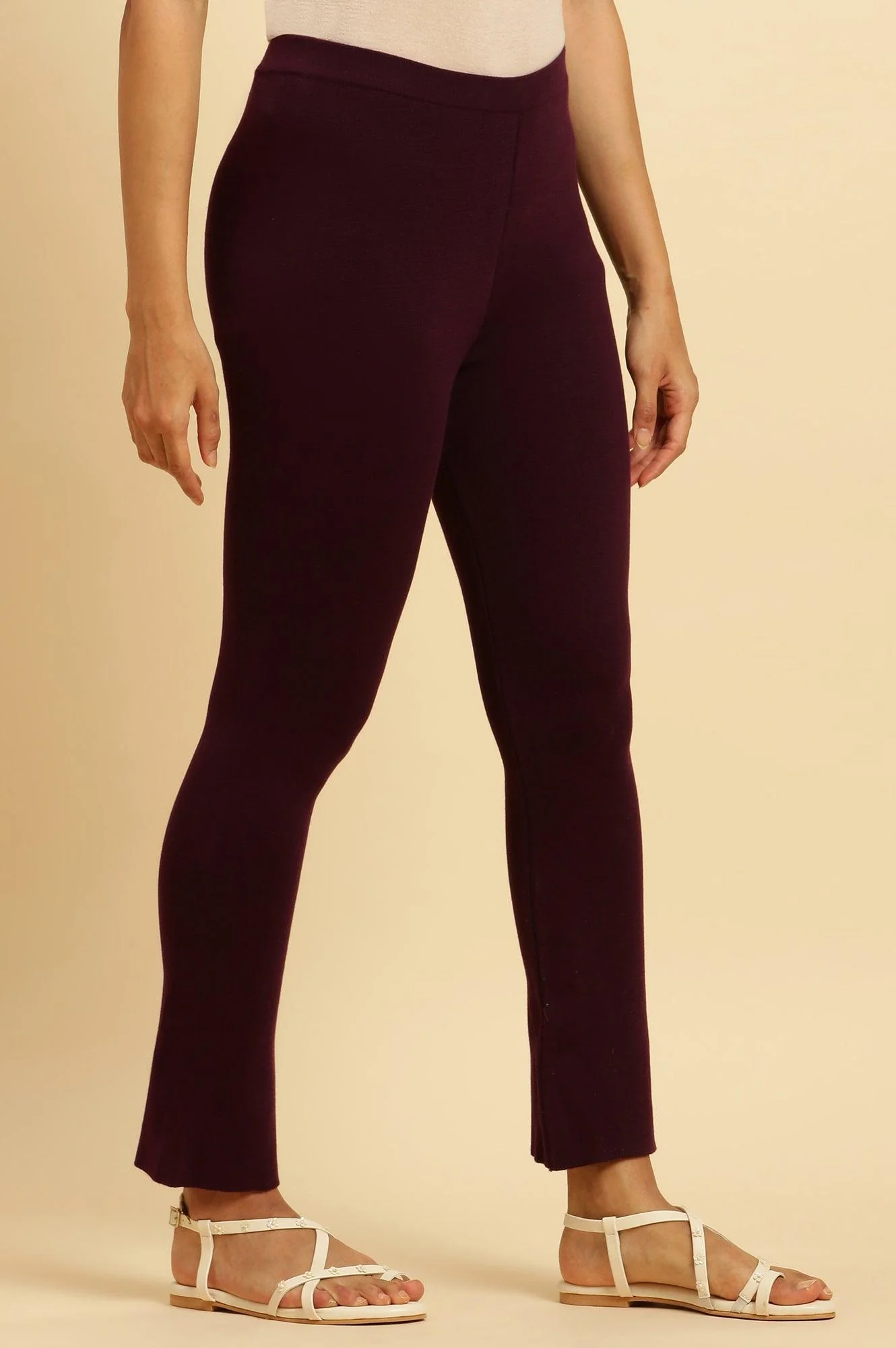Purple Solid Fit And Flare Pants - Image 4